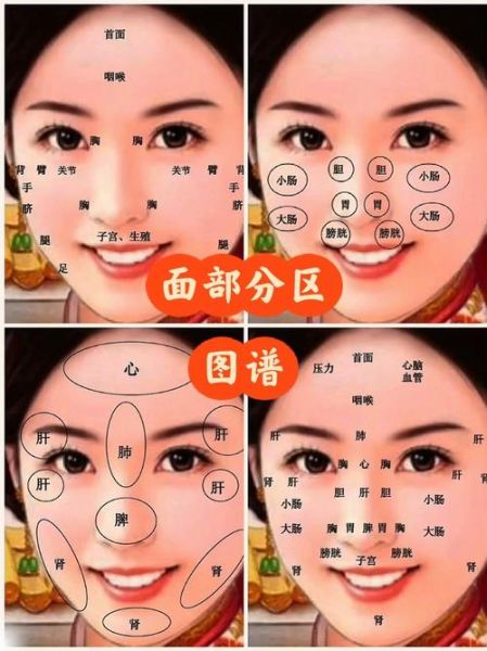 面部名称有哪些_面部五官具体指什么