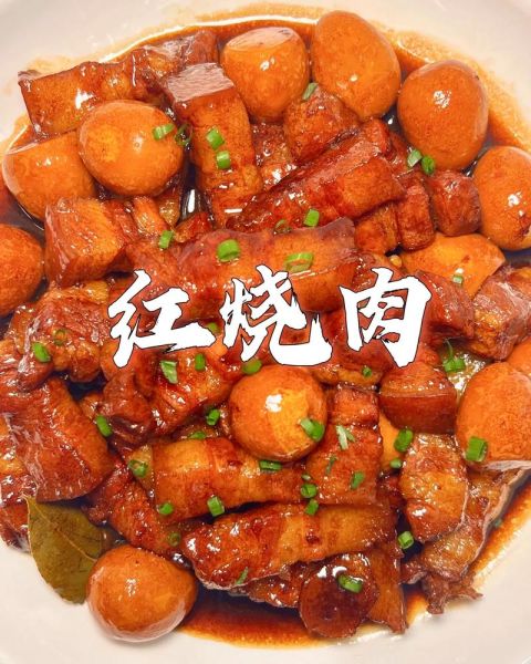 红烧肉怎么做好吃_红烧肉的家常做法步骤