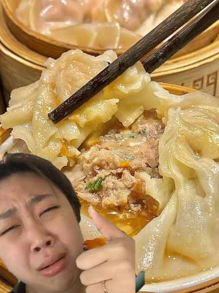 驴肉灌汤包怎么做_驴肉灌汤包的家常做法