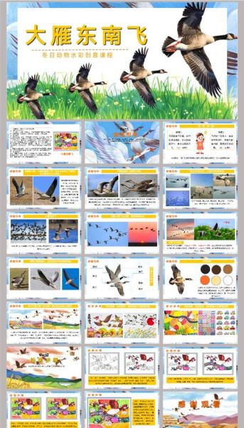 大雁学飞的故事告诉我们什么_如何培养孩子的独立能力