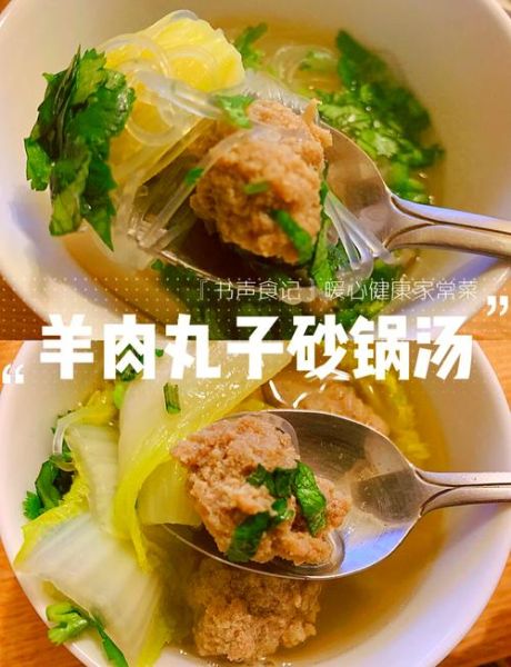 羊肉丸子汤怎么做_羊肉丸子汤的家常做法