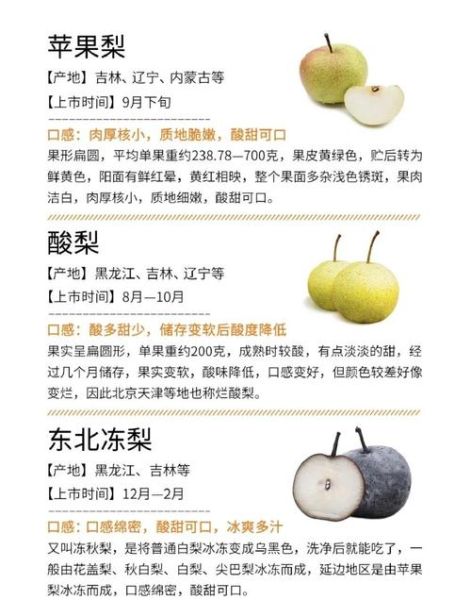 梨子梨的功效与作用_梨子梨怎么吃最好