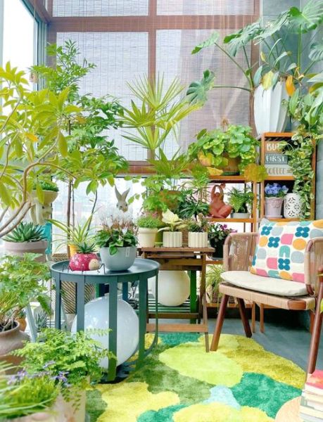 生机盎然的意思是什么_如何营造生机盎然的家居氛围