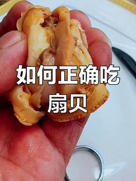 扇贝怎么清洗_扇贝肉的家常做法