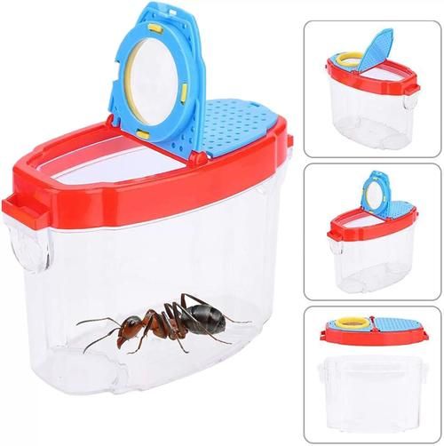 地捉虫子怎么做_地捉虫子需要哪些工具