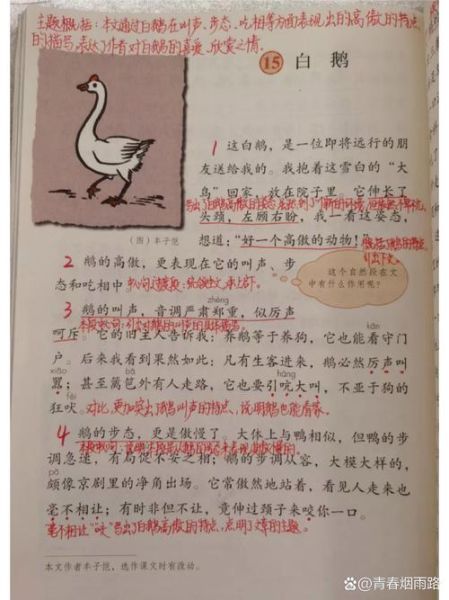 大白鹅的优美词语有哪些_如何描写大白鹅的神态