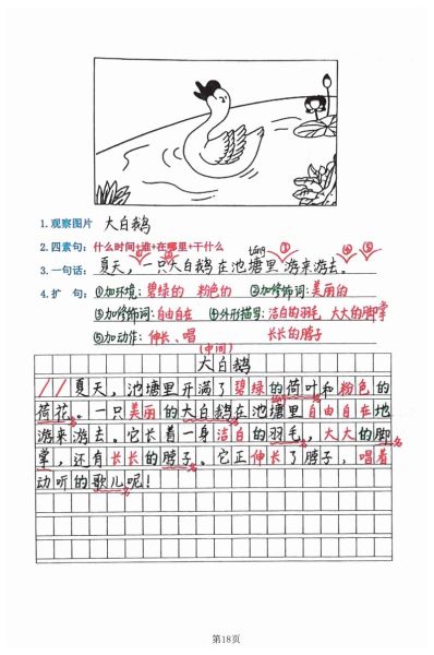 大白鹅的优美词语有哪些_如何描写大白鹅的神态