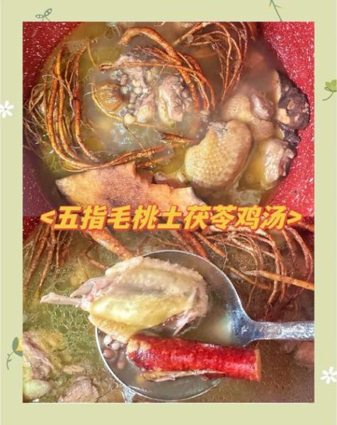 五指毛桃煲鸡汤的做法_五指毛桃鸡汤功效与禁忌