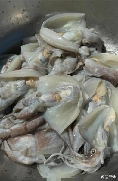 墨鱼怎么处理_墨鱼清洗技巧