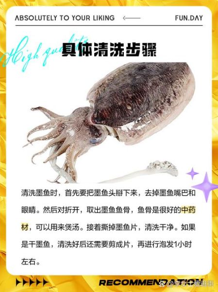 墨鱼怎么处理_墨鱼清洗技巧