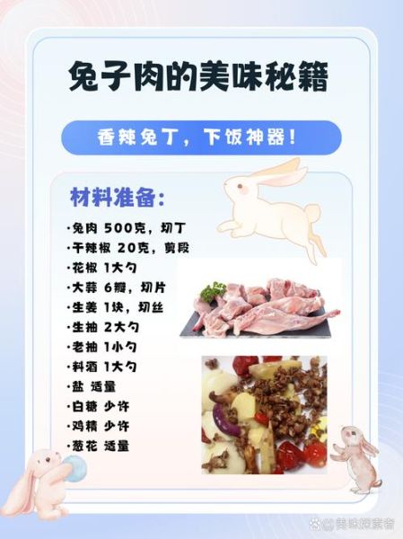 兔子肉怎么做好吃_兔子肉的家常做法