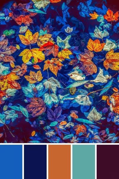 奇异色彩有哪些_如何搭配才高级