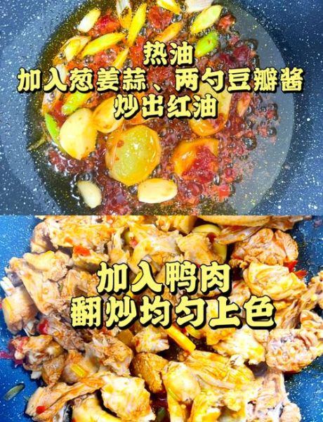 啤酒鸭的家常做法步骤_啤酒鸭怎么做才入味