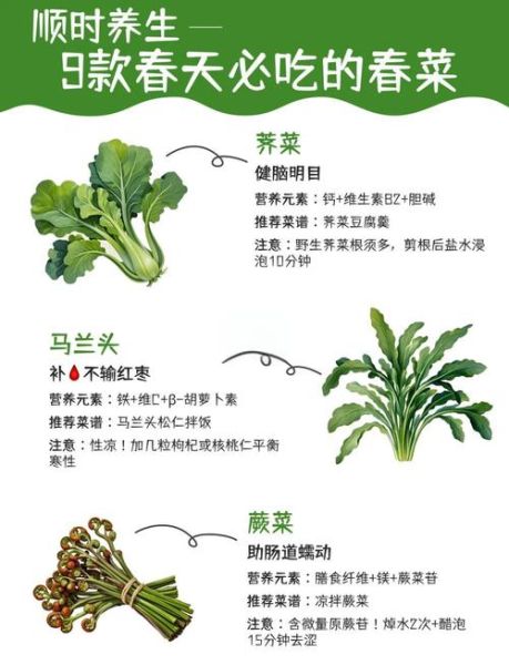 春天吃什么蔬菜最养生_如何激发身体生机
