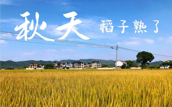 金灿灿的词语有哪些_金灿灿的近义词怎么写