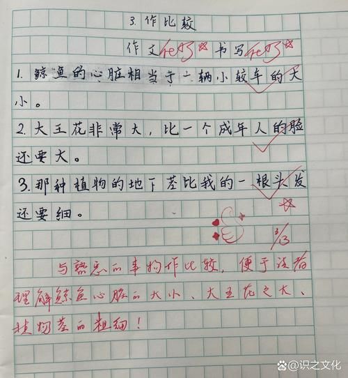 比作很快的词语有哪些_怎么用在作文里