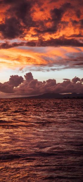 wallpaper手机版怎么设置壁纸_wallpaper手机版闪退怎么办