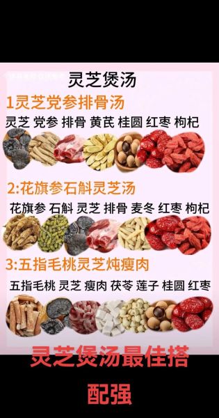 灵芝怎么吃最好_灵芝煲汤做法大全