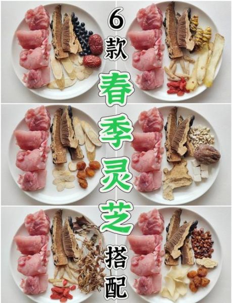 灵芝怎么吃最好_灵芝煲汤做法大全