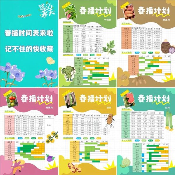 农忙时节有哪些农活_如何安排农忙时间