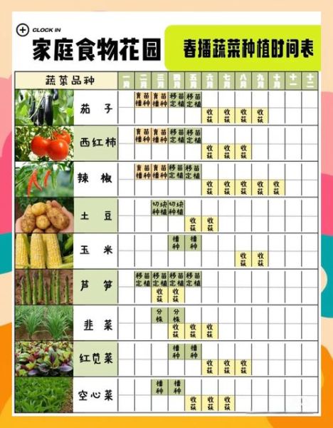 农忙时节有哪些农活_如何安排农忙时间