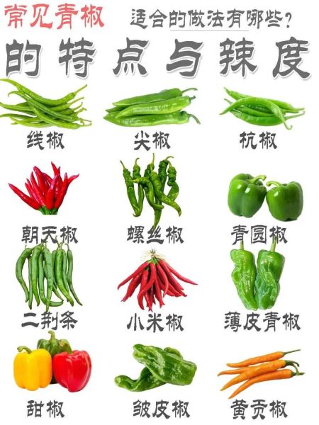 椒香是什么味道_椒香和麻辣区别在哪