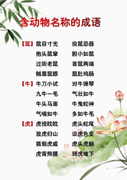 小鸡怎么养才健康_小鸡的形容词有哪些