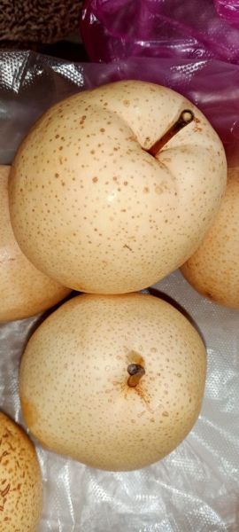 梨的别称有哪些_为什么叫梨涡