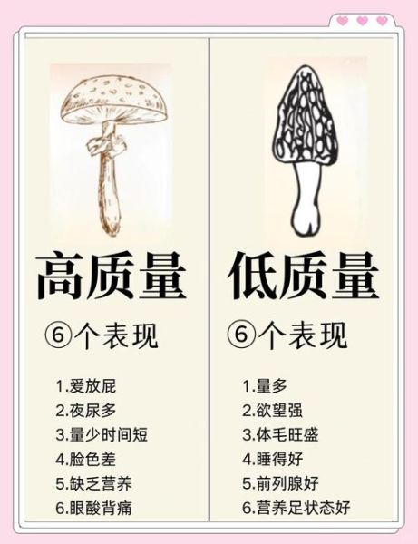 什么是品质_品质差的表现有哪些