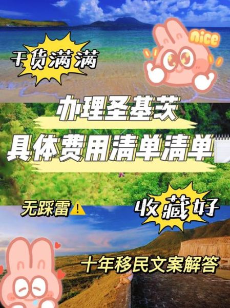 移民圣基茨费用多少钱_2024最新价格清单