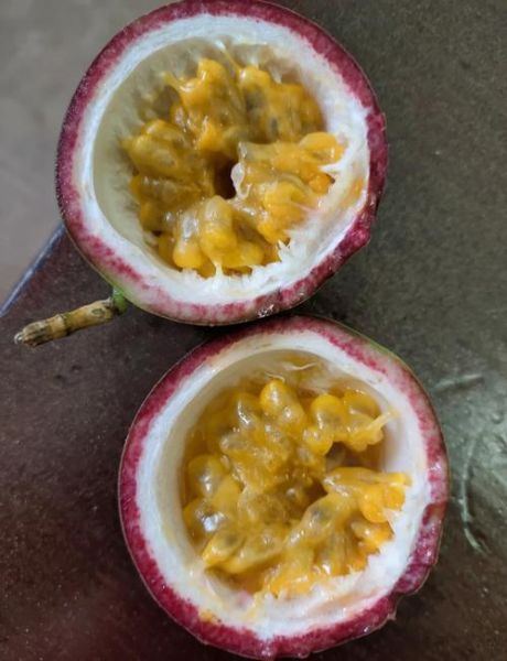 蜂蜜百香果怎么做_蜂蜜百香果保存多久