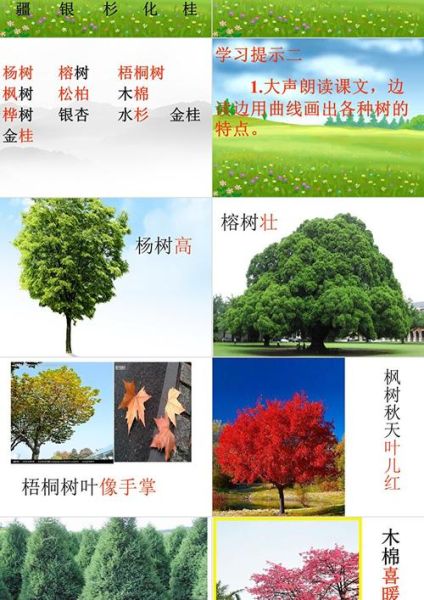 大树颜色词语有哪些_如何描写大树颜色