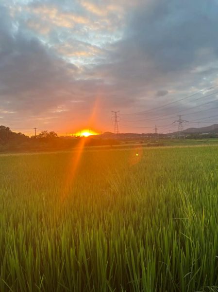 太阳快下山的时候适合拍照吗_太阳快下山的光线叫什么