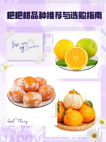 柑子怎么挑选_柑子有哪些品种