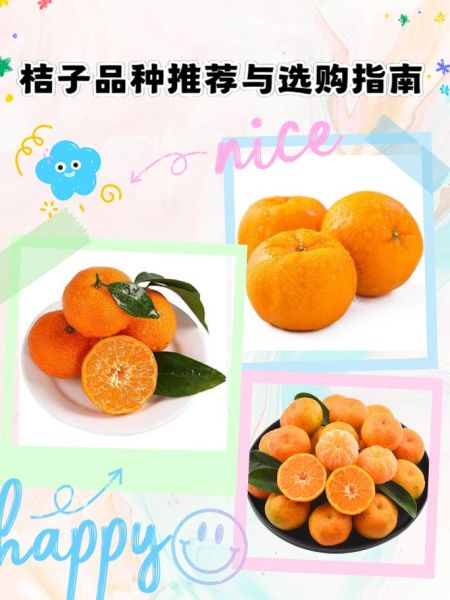 柑子怎么挑选_柑子有哪些品种