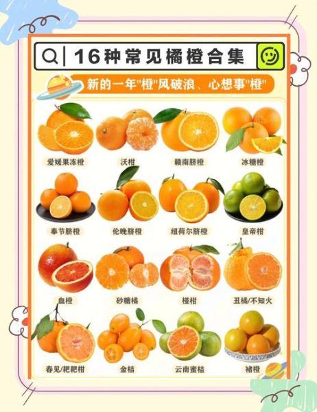 橘子怎么挑选_橘子有哪些品种
