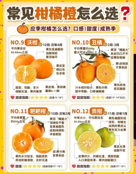 橘子怎么挑选_橘子有哪些品种