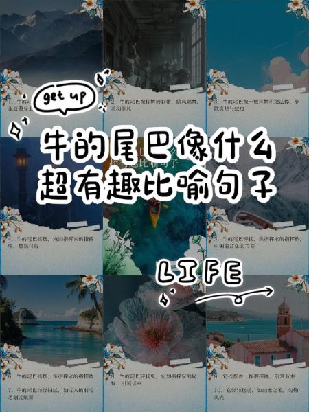 什么的尾巴像什么_什么的尾巴有什么作用