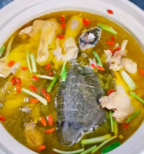 甲鱼怎么炖好吃_甲鱼汤的家常做法