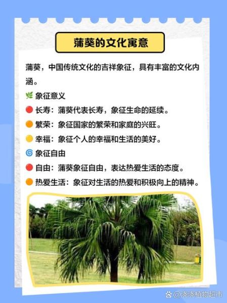 树叶为什么像扇子_树叶为什么像扇子一样