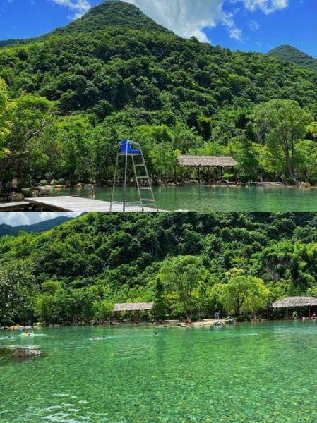 山涧适合种什么植物_山涧怎么造景