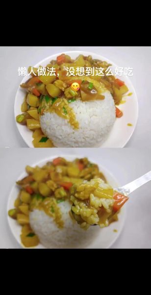 家常咖喱饭怎么做_咖喱块和咖喱粉哪个好