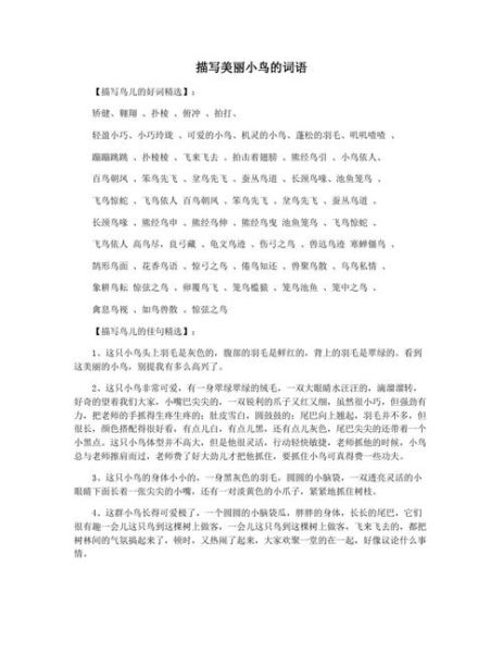 美丽神奇的词语有哪些_如何运用在写作中