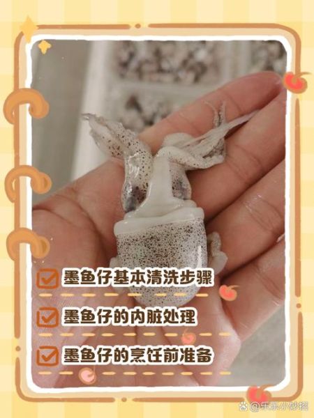 小墨斗鱼怎么清洗_小墨斗鱼的家常做法