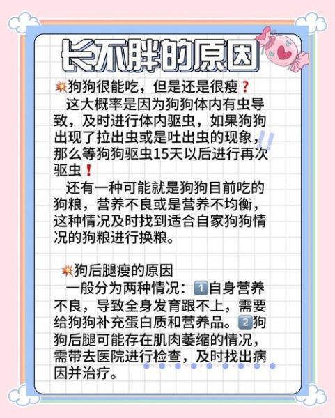 身体瘦弱怎么增重_身体瘦弱吃什么能长胖