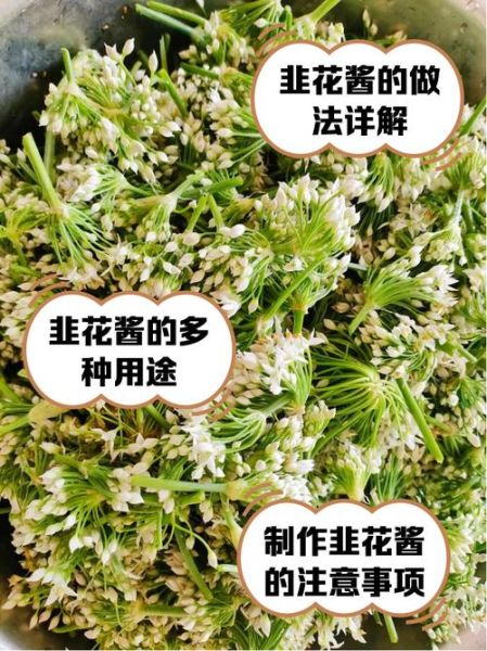 韭菜花怎么腌制_韭菜花酱的做法