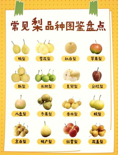 梨颜色词语有哪些_梨颜色词语怎么写