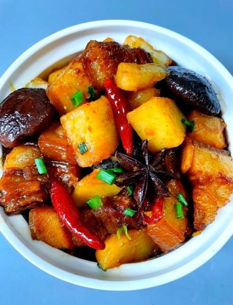 土豆炖肉怎么做_家常做法步骤详解