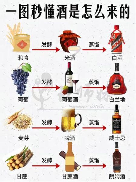 酒酒是什么_酒酒和酒有什么区别
