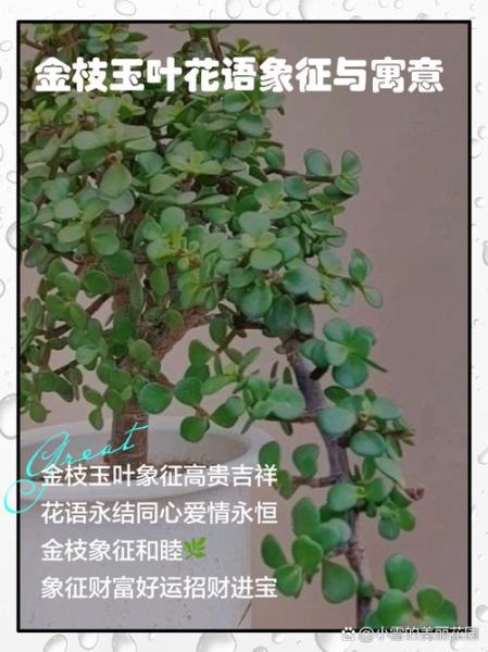 枝叶是词语吗_枝叶是什么意思